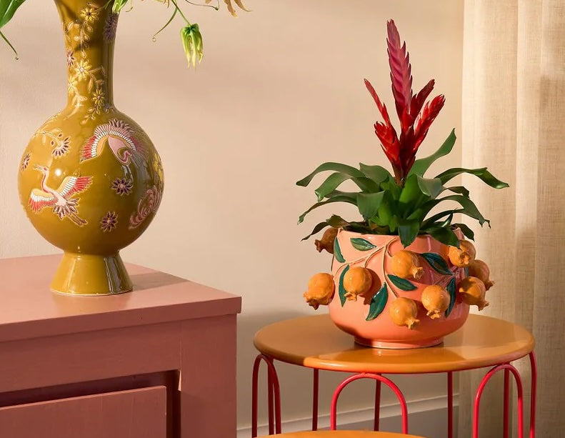 colorful plant pot