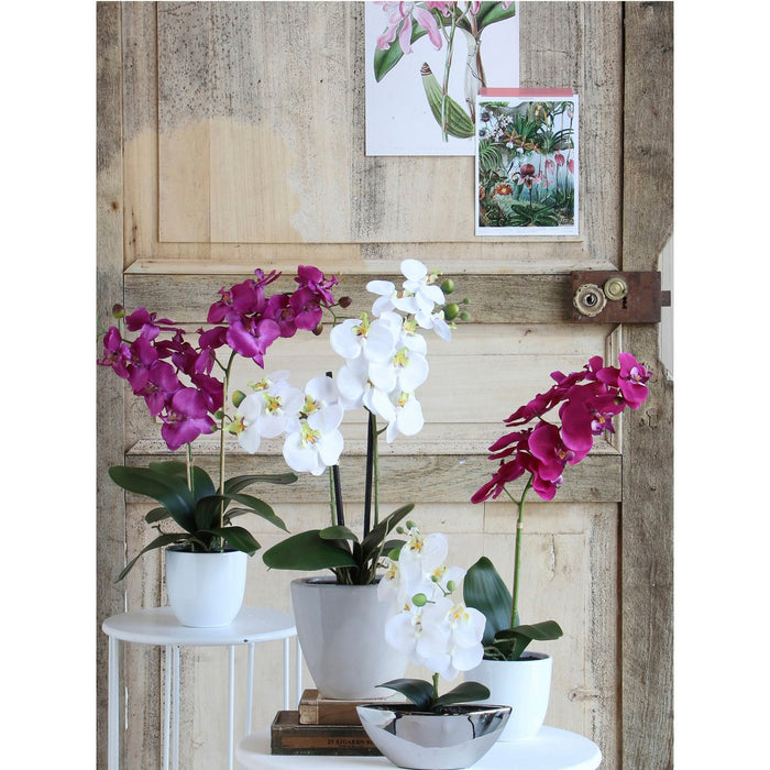 Artificial Phalaenopsis Plant in Flower Pot Tusca - H60 x Ø16 cm - Purple