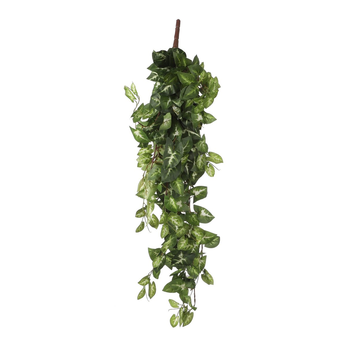 Fittonia Artificial Hanging Plant - L15 x W30 x H80 cm - Green