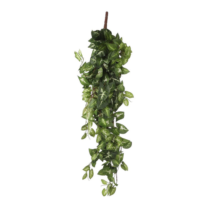 Fittonia Artificial Hanging Plant - L15 x W30 x H80 cm - Green