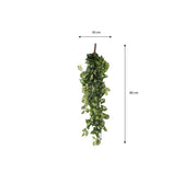 Fittonia Artificial Hanging Plant - L15 x W30 x H80 cm - Green