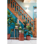 Damian Plant basket - Set of 2 - H20 x Ø20 cm - Seagrass - White