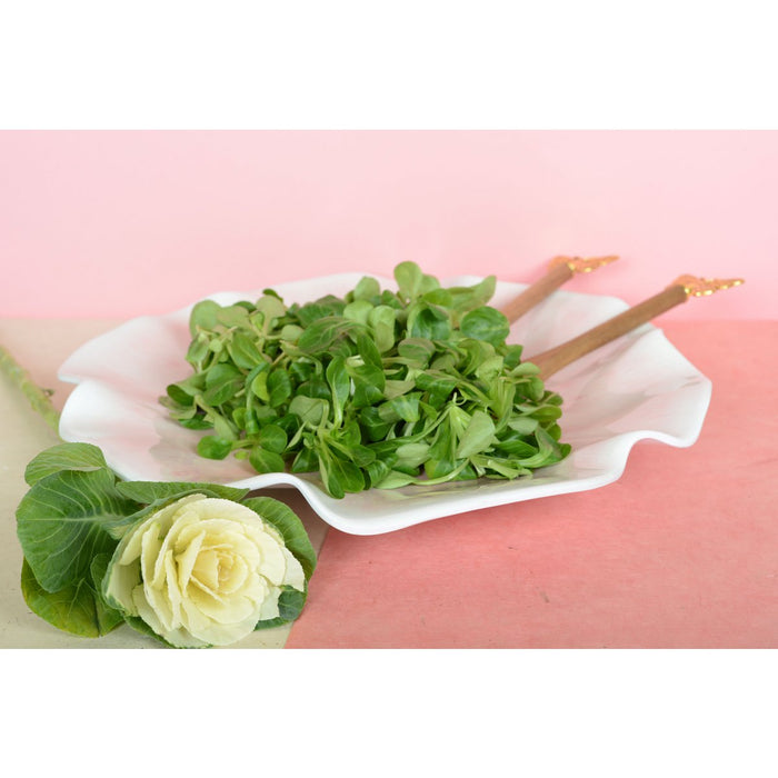 Pink presentation plate in melamine 40x40x5cm