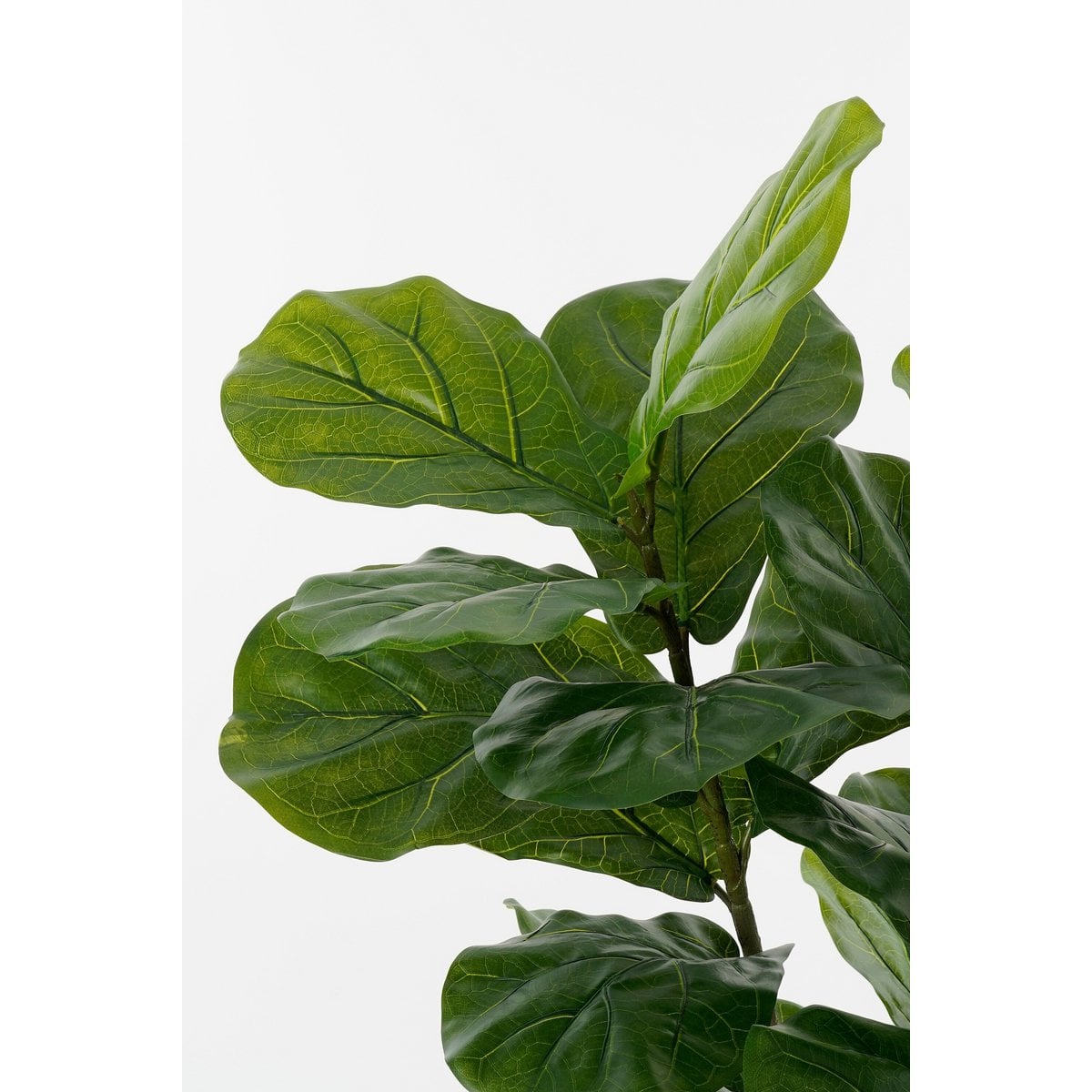Artificial plant Ficus Green