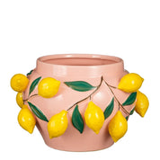 Pink Capri Lemon Plant Pot