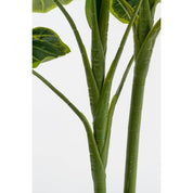 Alocasia Artificial Plant in Flower Pot - H100 x Ø50 cm - Green