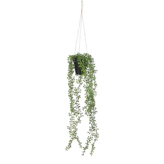 Senecio Artificial Hanging Plant in Pot - H68 x Ø9 cm - Green