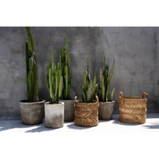 De bananenzigzagmand - L