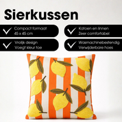 Decorative cushion Off-white