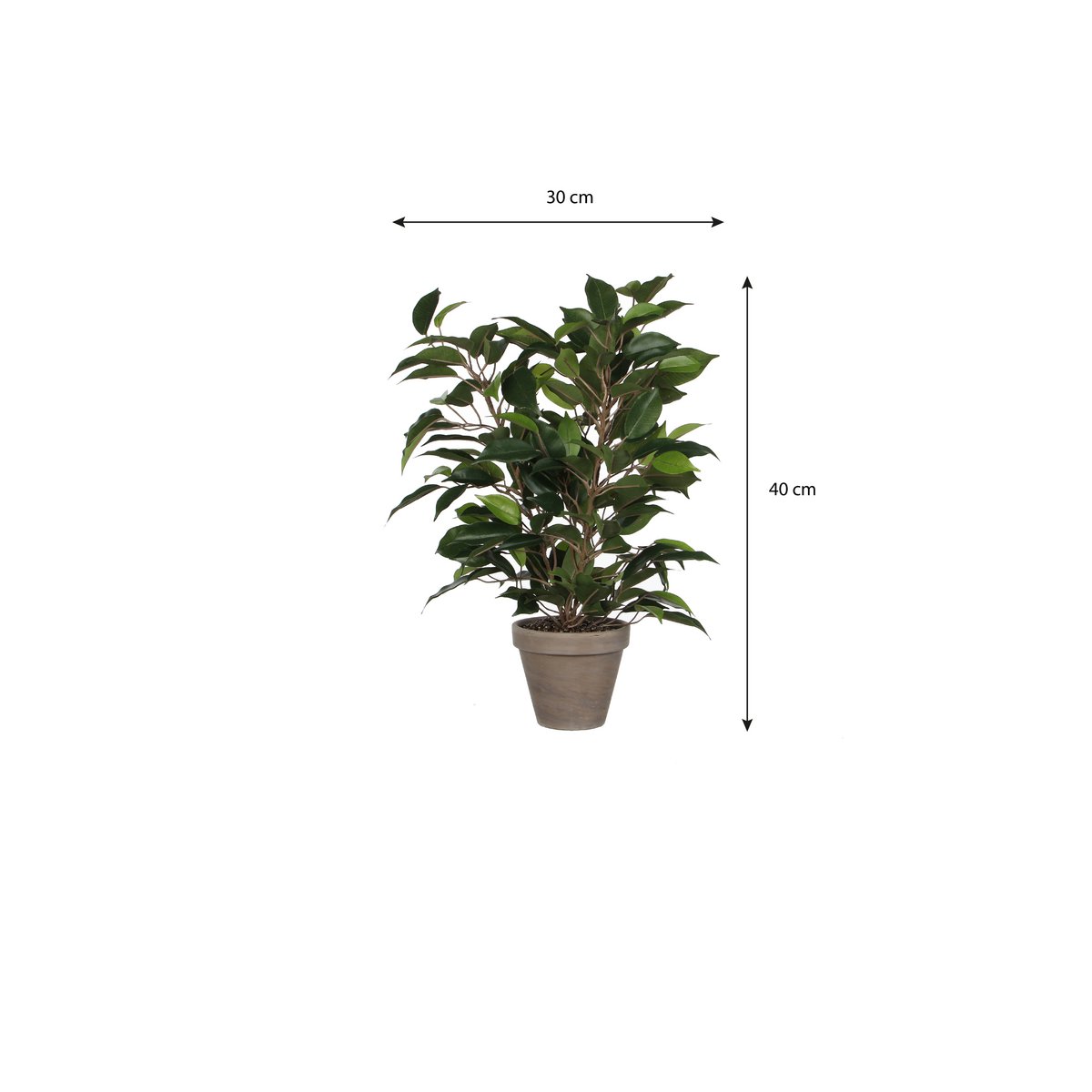 Ficus Natasja Artificial Plant in Stan Flower Pot - H40 x Ø30 cm - Green