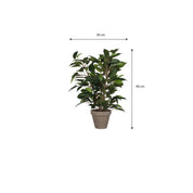 Ficus Natasja Artificial Plant in Stan Flower Pot - H40 x Ø30 cm - Green