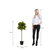 Laurierboom Kunstplant - H120 x Ø40 cm - Groen