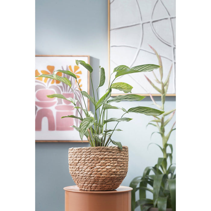 Jorck Plant Basket - Set of 3 - H24 x Ø26 cm - Seagrass - Light brown