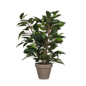 Ficus Natasja Artificial Plant in Stan Flower Pot - H40 x Ø30 cm - Green