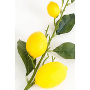 CITIENCE COUNTTAK - H104 cm - Geel