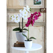 Artificial Phalaenopsis Plant in Flower Pot Tusca - H60 x Ø16 cm - Purple