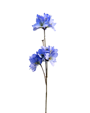 blue Delphinium branch