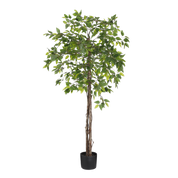 Ficus Kunstplant in Bloempot - H150 x Ø50 cm - Groen 