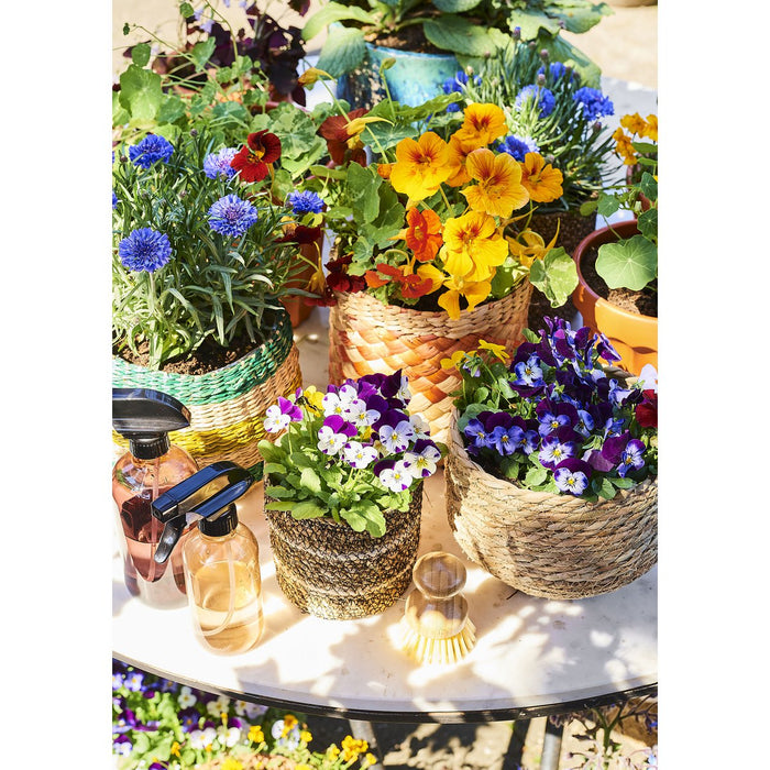 Jorck Plant Basket - Set of 3 - H24 x Ø26 cm - Seagrass - Light brown