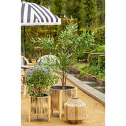 Liliano Lantern - H36 x Ø30 cm - Jute - Dark green