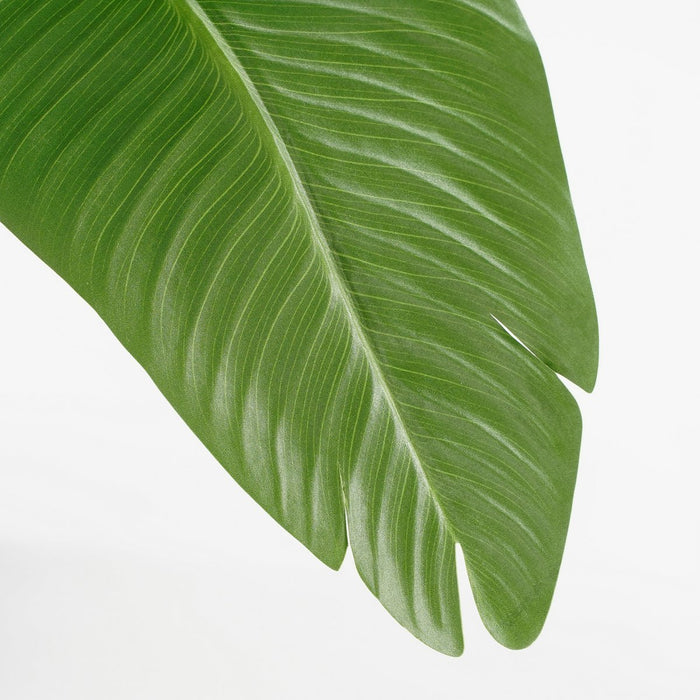 Kunstplant Bananenboom - H120 x Ø30 - Groen
