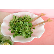 Pink presentation plate in melamine 40x40x5cm