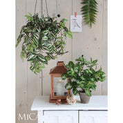 Tradescantia Artificial Hanging Plant - L15 x W20 x H54 cm - Green