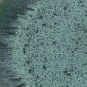 The Aqua Dinner Plate