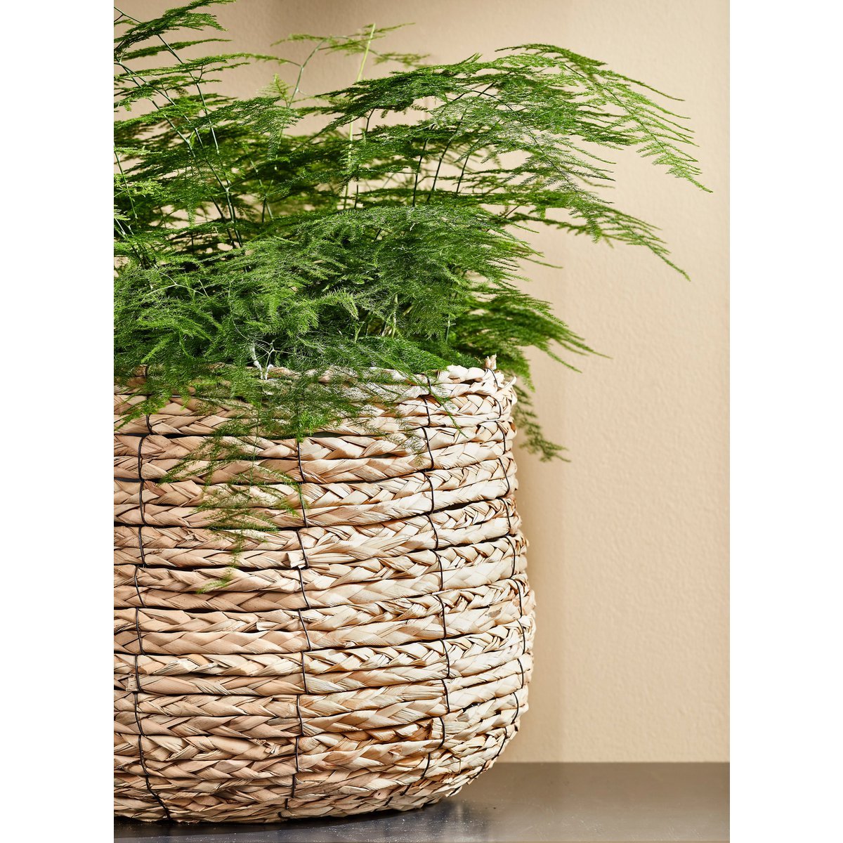 Avalon Plant Basket - Set of 3 - H32 x Ø44 cm - Seagrass - Light brown