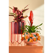 Marbella Orange Plant Pot
