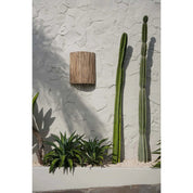 De Kohei-muurappliqué - natuurlijk