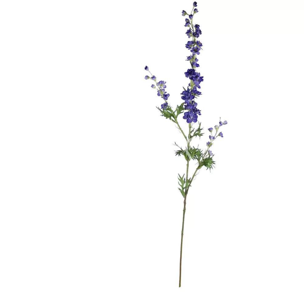 Flower_mini_delphinium_dark_blue.webp