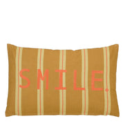Decorative cushion Brown