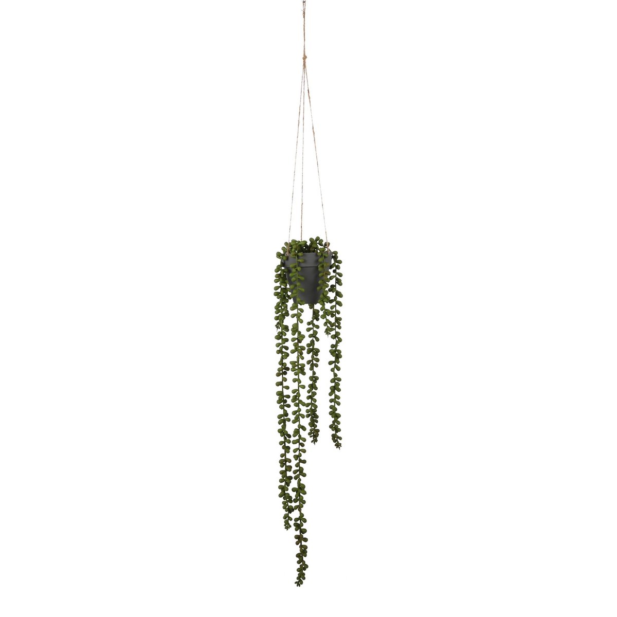 Senecio Artificial Hanging Plant - H56 x Ø9 cm - Green