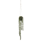 Senecio Artificial Hanging Plant - H56 x Ø9 cm - Green