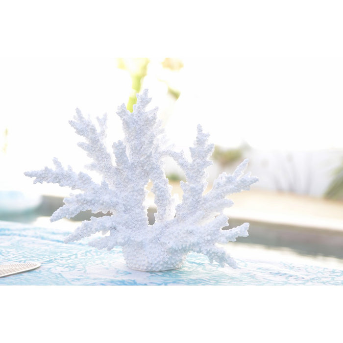 Decorative white coral 34x13x27cm