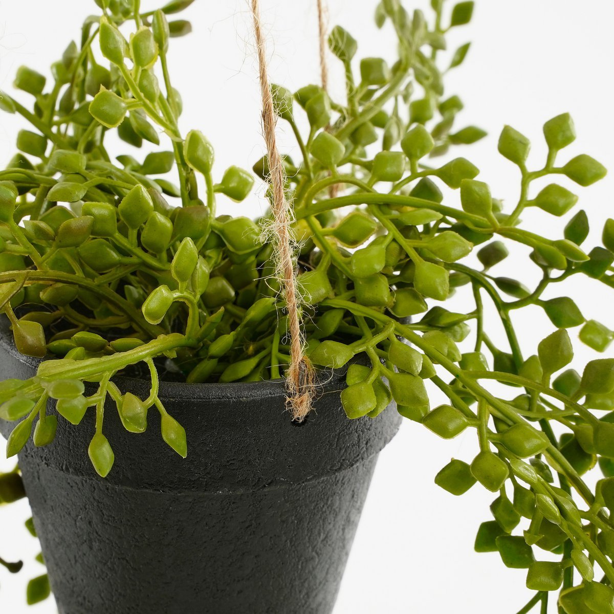 Senecio Artificial Hanging Plant in Pot - H68 x Ø9 cm - Green