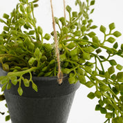 Senecio Artificial Hanging Plant in Pot - H68 x Ø9 cm - Green