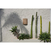 De Kohei-muurappliqué - natuurlijk