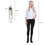 Senecio Artificial Hanging Plant in Pot - H68 x Ø9 cm - Green