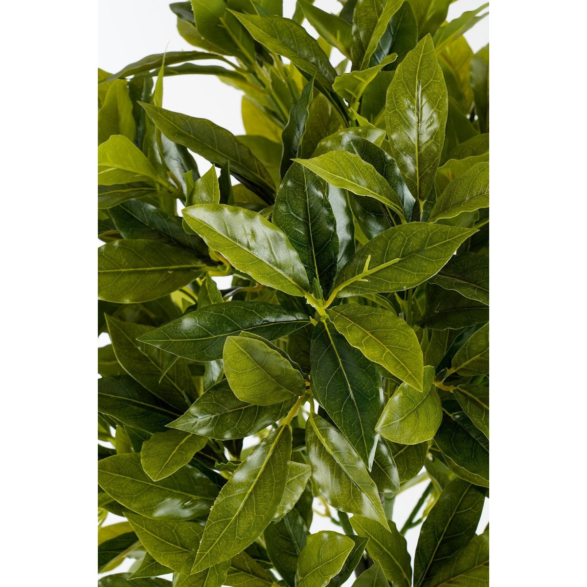 Artificial plant Laurel Green