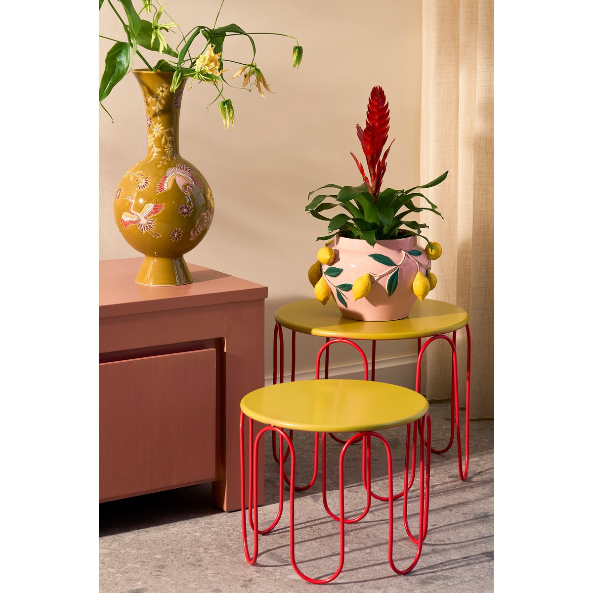 Pink Capri Lemon Plant Pot