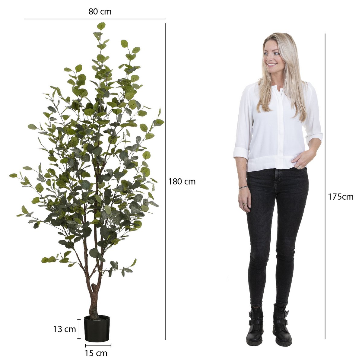 Eucalyptus Tree - Large