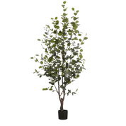 Eucalyptus Tree - Large