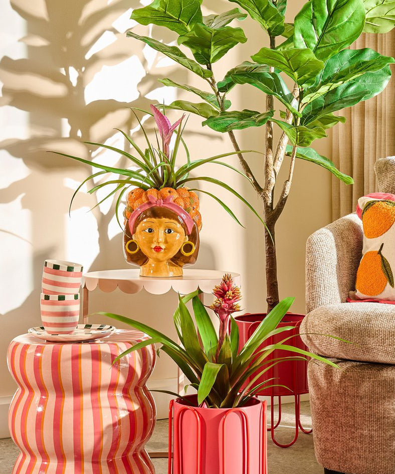 Decorative plants and colorful planters in a living room setting