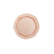 Salmon Peach Dinner Plate